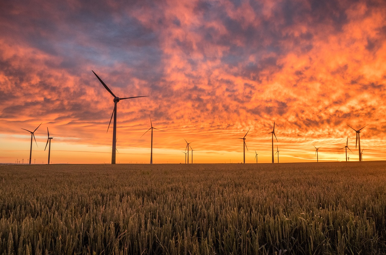 entdecken sie die hintergründe und lösungen zur energiekrise: erfahren sie mehr über die herausforderungen, die erneuerbaren energien und strategien zur bewältigung des globalen energiebedarfs.