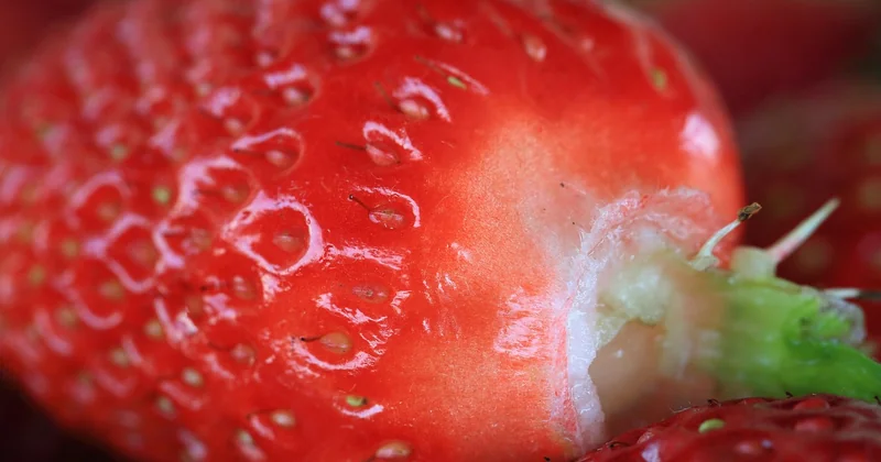 Fermentierte Lebensmittel: eine Liste, die nicht bei Kimchi endet