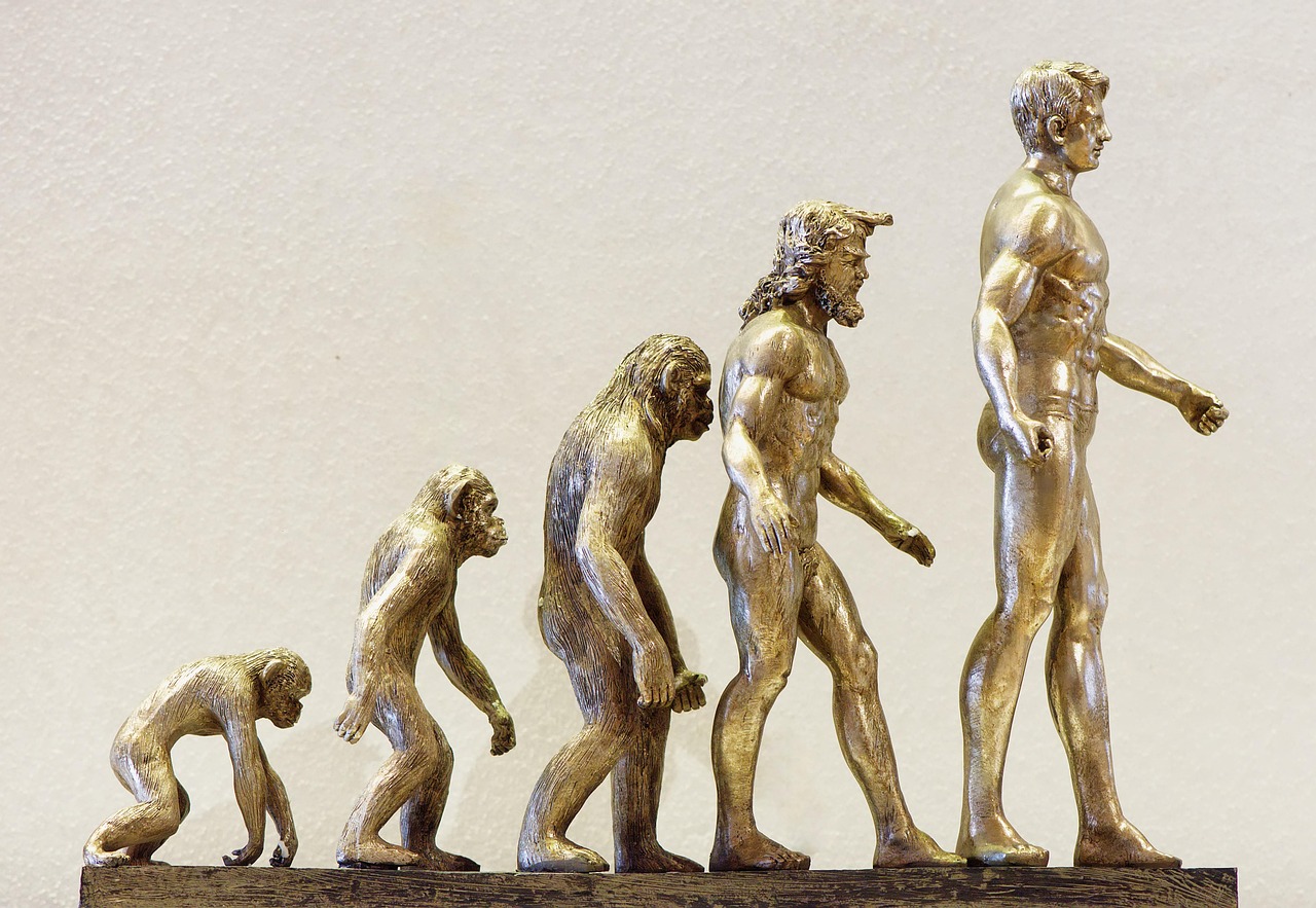 Welche Folgen hat der demografische Wandel für unser Rentensystem?